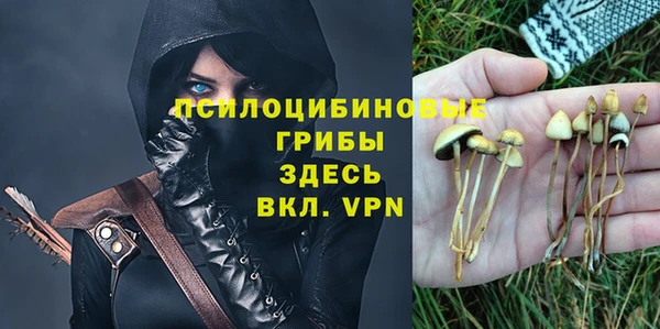 первитин Белокуриха