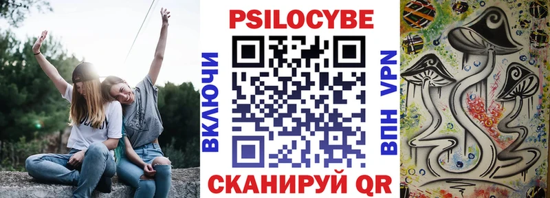 Галлюциногенные грибы Magic Shrooms  где купить наркотик  гидра онион  Волгореченск 
